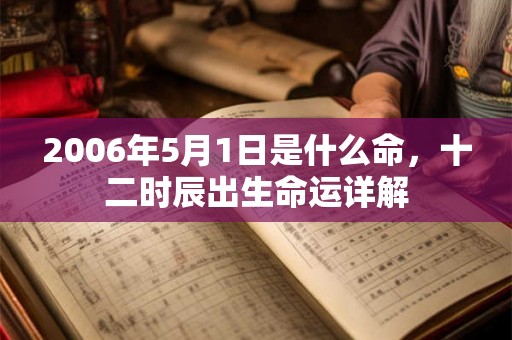 2006年5月1日是什么命，十二时辰出生命运详解