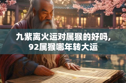 九紫离火运对属猴的好吗,92属猴哪年转大运