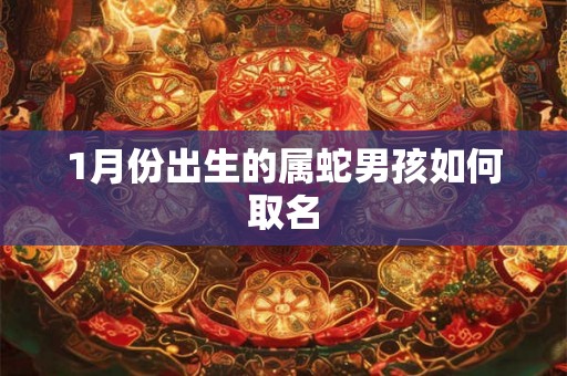 1月份出生的属蛇男孩如何取名