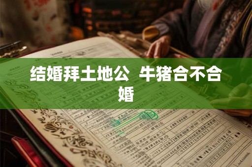 结婚拜土地公  牛猪合不合婚