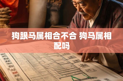 狗跟马属相合不合 狗马属相配吗