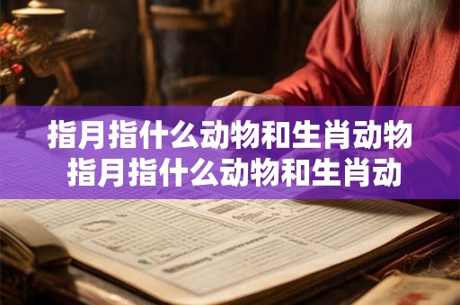 指月指什么动物和生肖动物 指月指什么动物和生肖动物相似 指月指什么动物和生肖动物 指月指什么动物和生肖动物相似