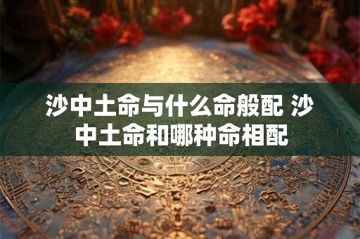 沙中土命与什么命般配 沙中土命和哪种命相配