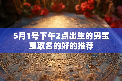 5月1号下午2点出生的男宝宝取名的好的推荐