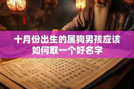 十月份出生的属狗男孩应该如何取一个好名字 十月份出生的属狗男孩应该如何取一个好名字