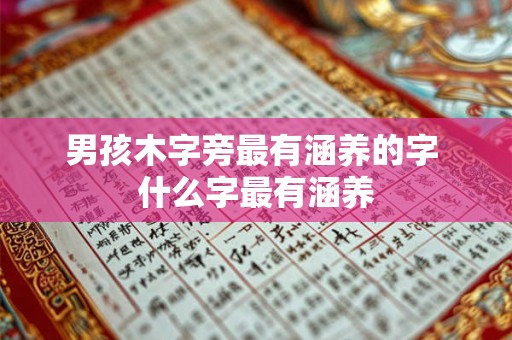 男孩木字旁最有涵养的字 什么字最有涵养