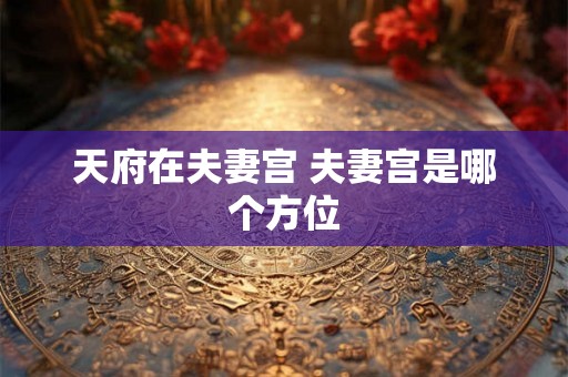 天府在夫妻宫 夫妻宫是哪个方位