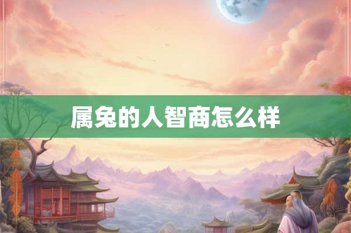 属兔的人智商怎么样