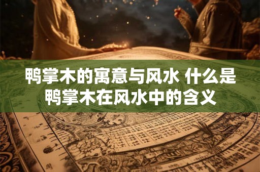 鸭掌木的寓意与风水 什么是鸭掌木在风水中的含义 鸭掌木的寓意与风水 什么是鸭掌木在风水中的含义