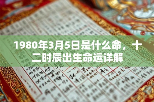 1980年3月5日是什么命，十二时辰出生命运详解