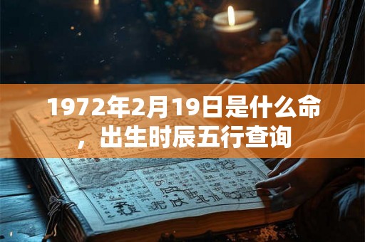 1972年2月19日是什么命，出生时辰五行查询