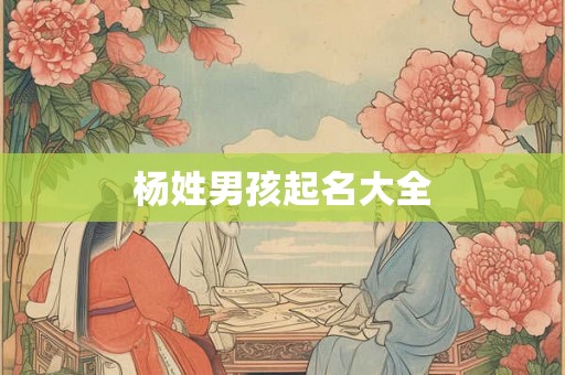 杨姓男孩起名大全