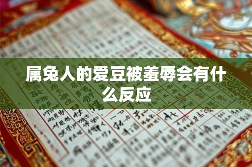 属兔人的爱豆被羞辱会有什么反应