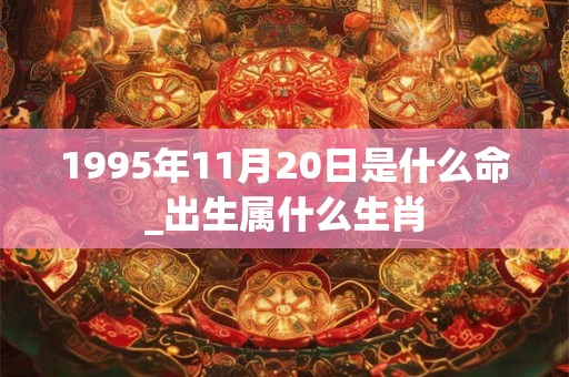 1995年11月20日是什么命_出生属什么生肖