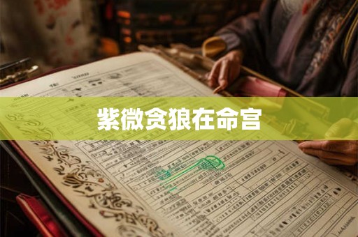 紫微贪狼在命宫