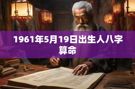 1961年5月19日出生人八字算命