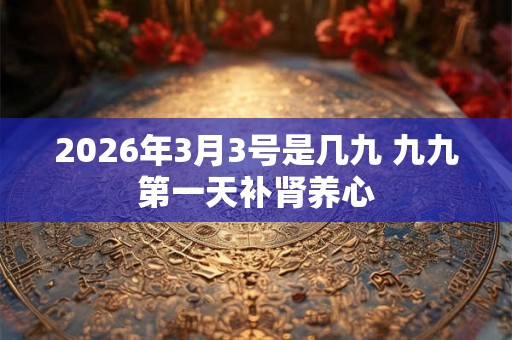2026年3月3号是几九 九九第一天补肾养心