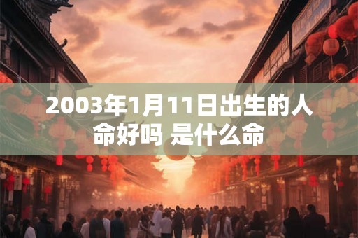2003年1月11日出生的人命好吗 是什么命