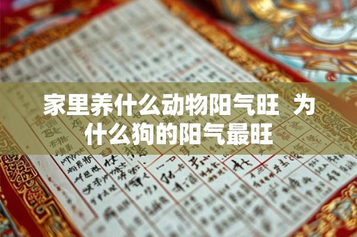 家里养什么动物阳气旺 为什么狗的阳气最旺 家里养什么动物阳气旺 为什么狗的阳气最旺