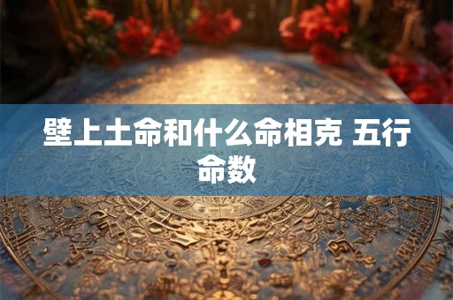 壁上土命和什么命相克 五行命数