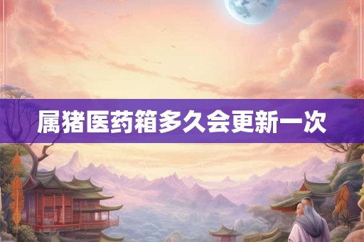 属猪医药箱多久会更新一次