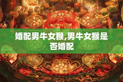 婚配男牛女猴,男牛女猴是否婚配