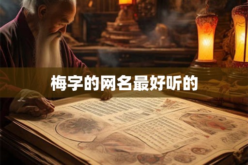 梅字的网名最好听的