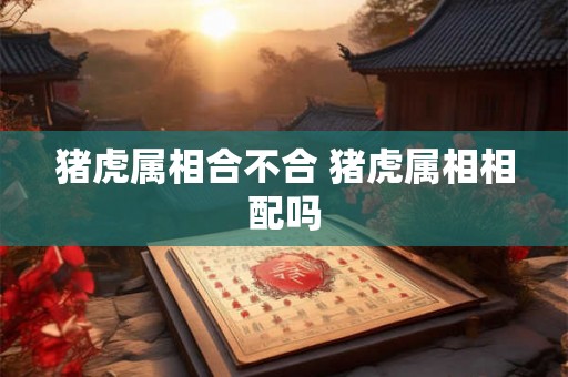 猪虎属相合不合 猪虎属相相配吗 猪虎属相合不合 猪虎属相相配吗