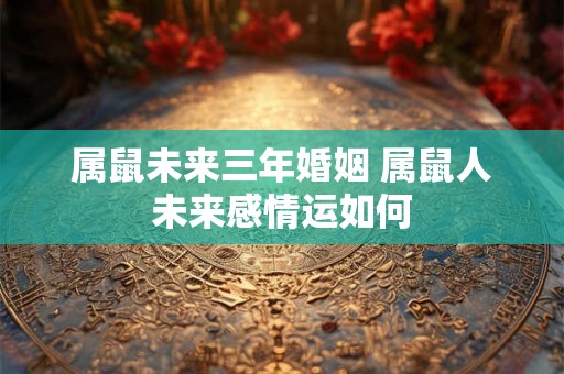 属鼠未来三年婚姻 属鼠人未来感情运如何 属鼠未来三年婚姻 属鼠人未来感情运如何