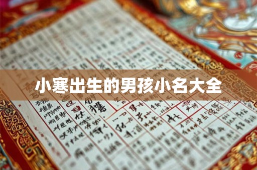 小寒出生的男孩小名大全