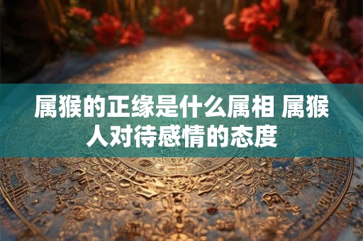 属猴的正缘是什么属相 属猴人对待感情的态度