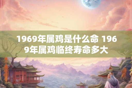 1969年属鸡是什么命 1969年属鸡临终寿命多大