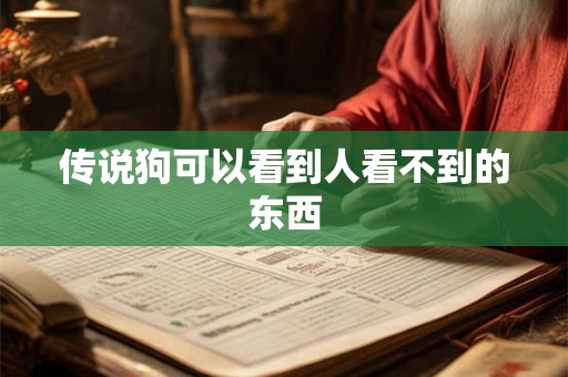 传说狗可以看到人看不到的东西