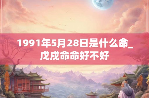 1991年5月28日是什么命_戊戌命命好不好