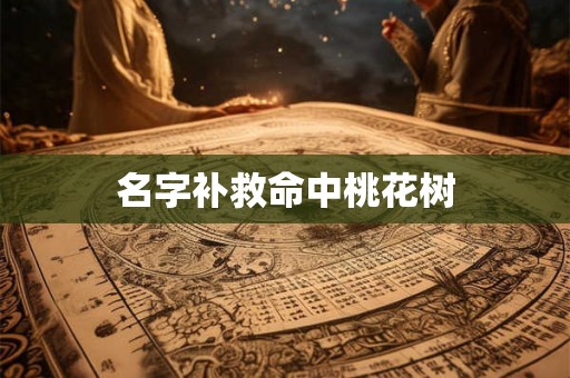 名字补救命中桃花树
