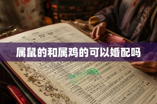 属鼠的和属鸡的可以婚配吗