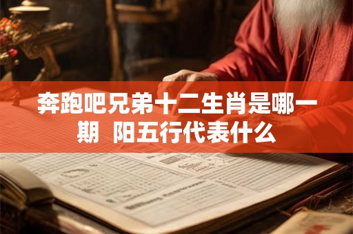 奔跑吧兄弟十二生肖是哪一期  阳五行代表什么