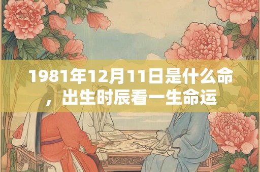 1981年12月11日是什么命，出生时辰看一生命运
