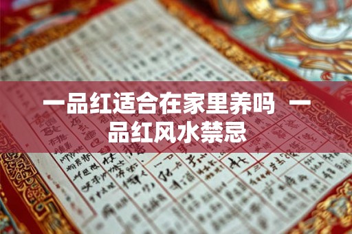 一品红适合在家里养吗 一品红风水禁忌 一品红适合在家里养吗 一品红风水禁忌