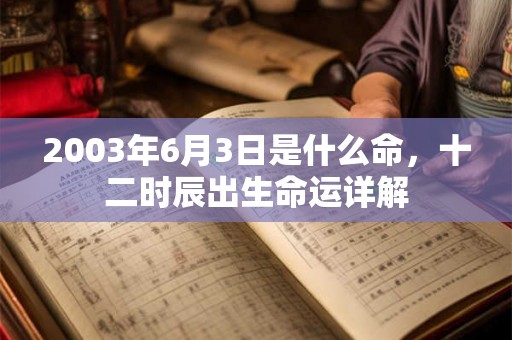 2003年6月3日是什么命，十二时辰出生命运详解