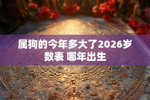 属狗的今年多大了2026岁数表 哪年出生