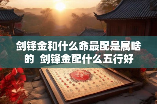 剑锋金和什么命最配是属啥的  剑锋金配什么五行好