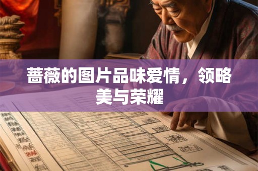 蔷薇的图片品味爱情，领略美与荣耀