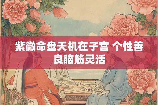 紫微命盘天机在子宫 个性善良脑筋灵活 紫微命盘天机在子宫 个性善良脑筋灵活