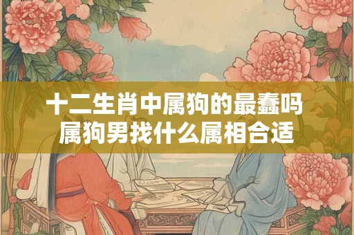 十二生肖中属狗的最蠢吗 属狗男找什么属相合适