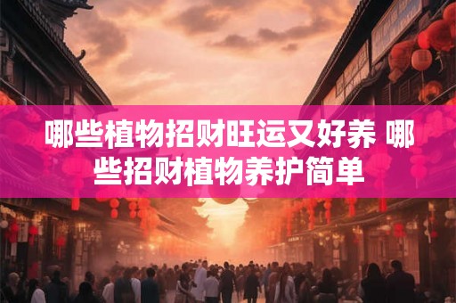 哪些植物招财旺运又好养 哪些招财植物养护简单