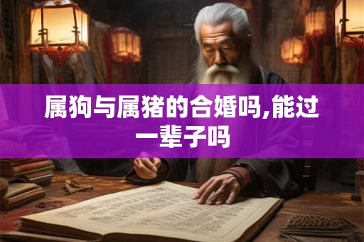 属狗与属猪的合婚吗,能过一辈子吗