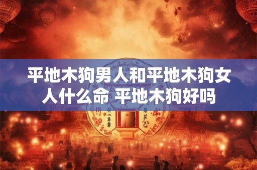 平地木狗男人和平地木狗女人什么命 平地木狗好吗 平地木狗男人和平地木狗女人什么命 平地木狗好吗