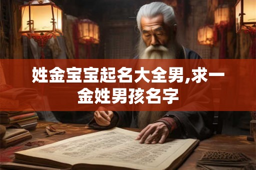 姓金宝宝起名大全男,求一金姓男孩名字