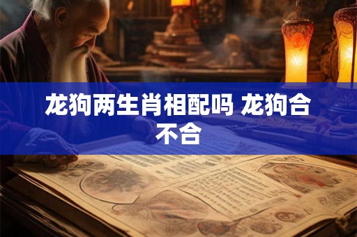 龙狗两生肖相配吗 龙狗合不合 龙狗两生肖相配吗 龙狗合不合